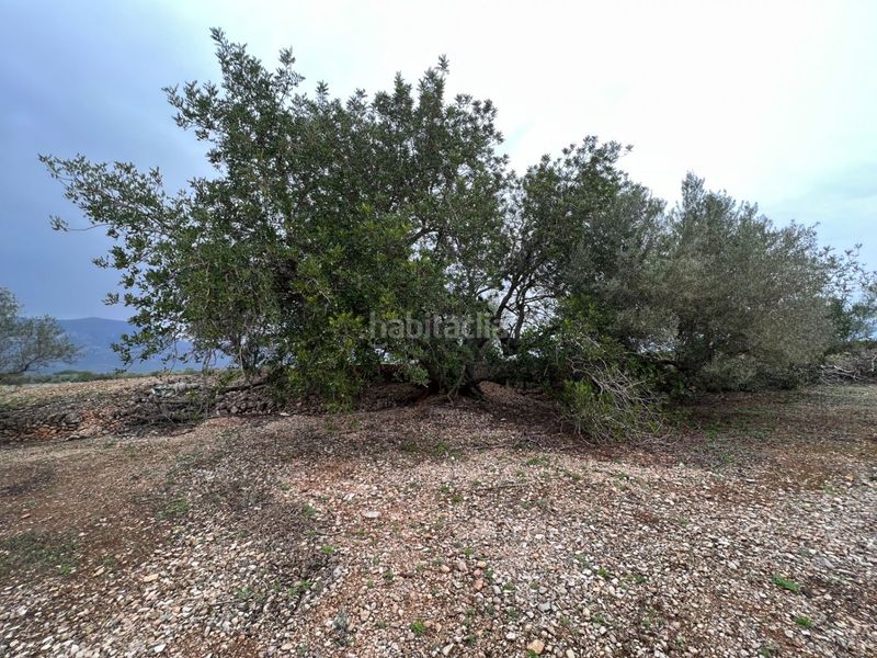 Foto 35ffeb2e-c131-470b-befb-91f78b458b03. Masia a Roquetes