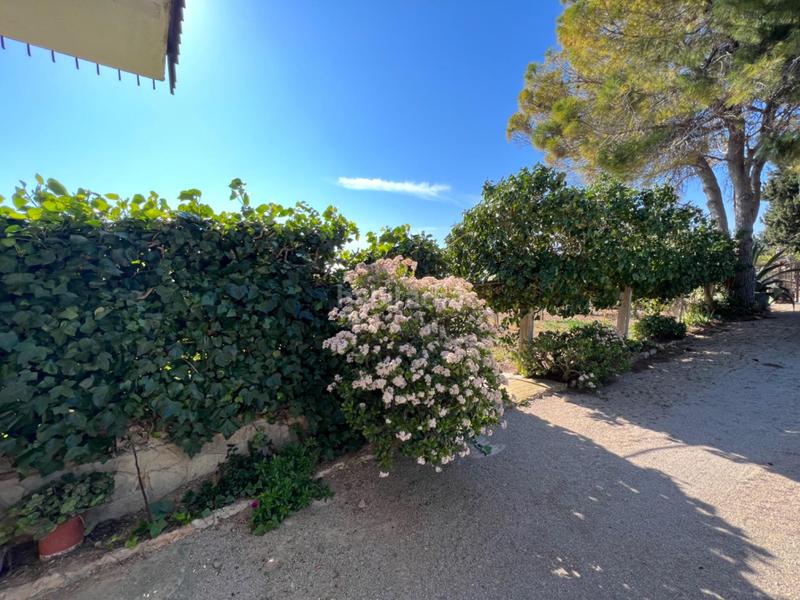 Foto 23c7e070-0caa-4451-97d5-63b623c9d928. House with heating parking pool in Aldea (L´)