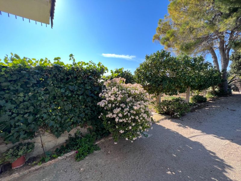 Foto 532514cd-d54b-4785-8b06-253bb43f60aa. Casa amb calefacció aparcament piscina a Aldea (L´)