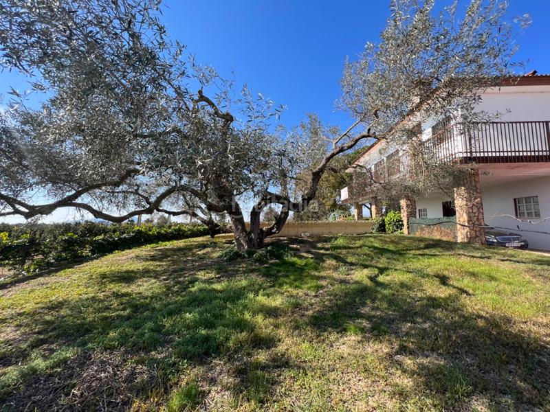 Foto 920c6793-a5fb-43be-ba36-658cd903bc7e. House with heating parking pool in Aldea (L´)