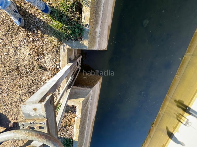 Foto b2cf0082-2981-4589-a050-a76daee07ae6. Finca rústica terreno rural lligallo en Camarles
