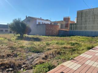 Terreny residencial a Aldea (L´). Venta de solar urbano en laldea