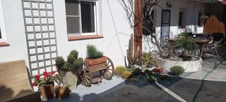 Casa in Eucaliptus - Poble Nou del Delta. Casa rural en poble nou del delta