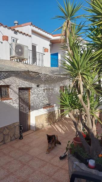 Foto 7c735a34-aefc-4c21-a06c-e1f688d35ea8. Casa  rural poble nou del delta en Eucaliptus - Poble Nou del Delta Amposta