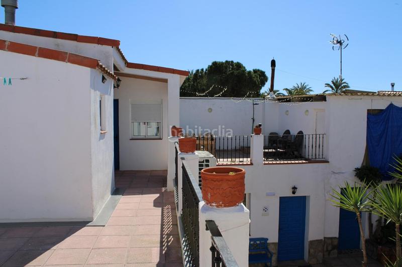 Foto 89e0d06e-2c3a-4b69-bbe5-2d3da34d9bf2. Casa  rural poble nou del delta en Eucaliptus - Poble Nou del Delta Amposta