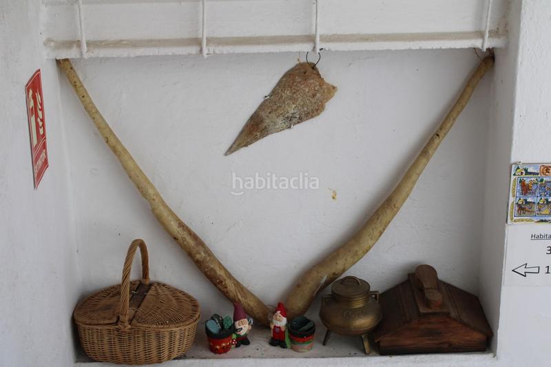 Foto bd97a921-598c-46c6-bf11-704341d5ce08. Casa  rural poble nou del delta en Eucaliptus - Poble Nou del Delta Amposta