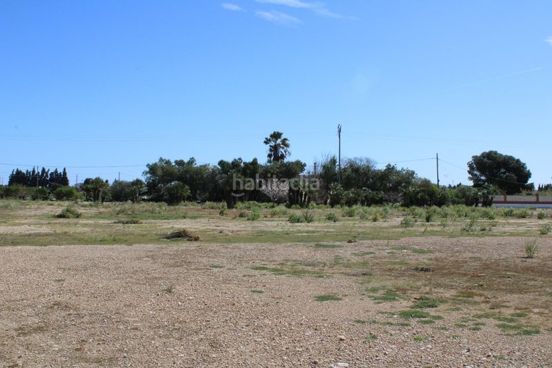 Foto 1e35e38a-e35c-4ddc-a07a-db3aab8f6b46. Terreny residencial a Aldea (L´)