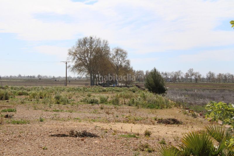 Foto 7bfc2564-ccbb-4a31-9aed-4b1593ab28bc. Terreny residencial a Aldea (L´)