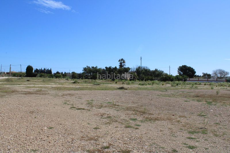 Foto 9aaf7f5e-77d1-4dec-87a2-bb5352a24875. Terreny residencial a Aldea (L´)