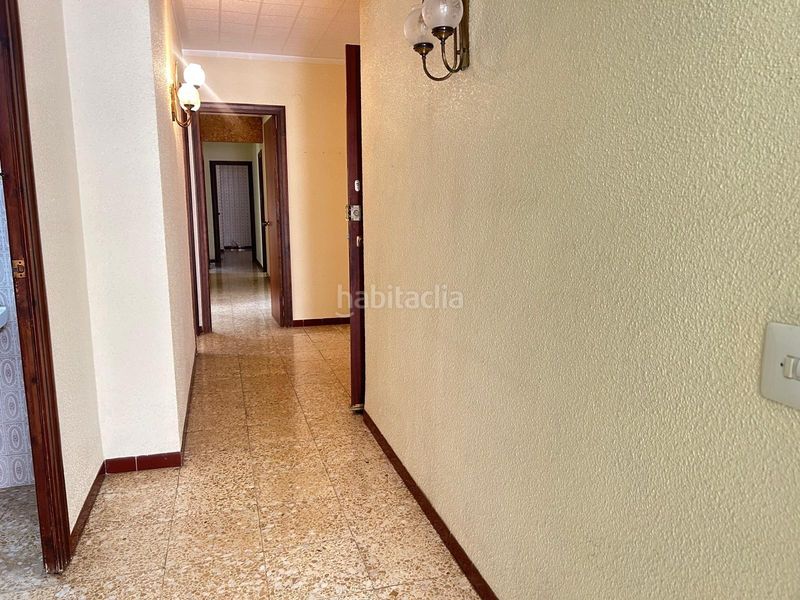 Foto 5be04ead-5289-4ef4-8b18-43c585c18532. Pis a Centre La Ràpita