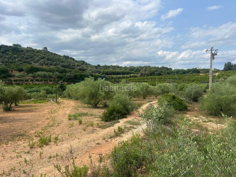 Foto 5da0c768-a8d9-4493-8267-0cd0d1b6b94a. Propriété dans Freginals