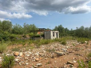 Finca rústica en Freginals. Finca rustica  en freginals de 3 jornales de olivos