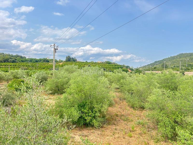 Foto cccaa402-338b-44a9-b2d6-126599aab221. Propriété dans Freginals