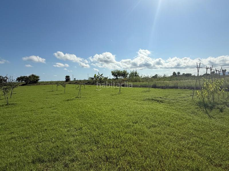 Foto d94102b4-779b-490a-bad8-ad7d6b8b7095. Country house in Nord Sant Carles de la Ràpita