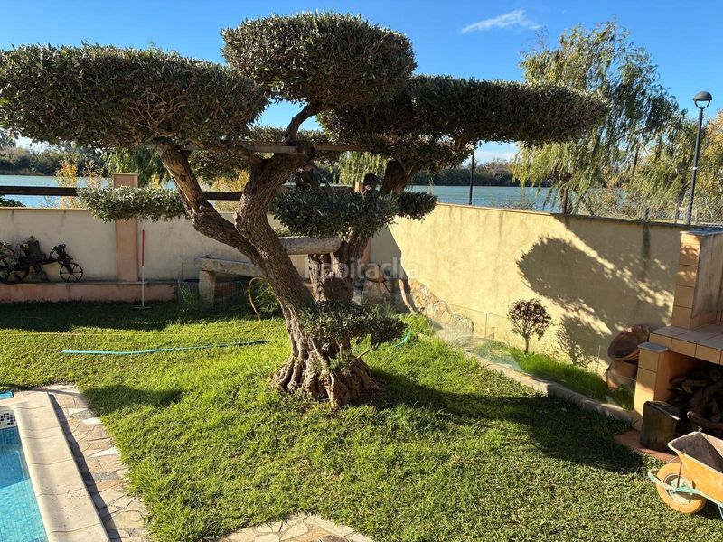 Foto fcbee9e5-cdd2-4f71-a729-72be02d5273b. Xalet amb aparcament piscina a Deltebre