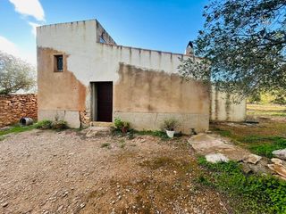 Bauernhof in Camarles. Bonita finca rustica camarles