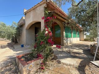 Casale in Ampolla (L´). Finca rústica con 10.144 m2 de terreno y casa de 127 m2.