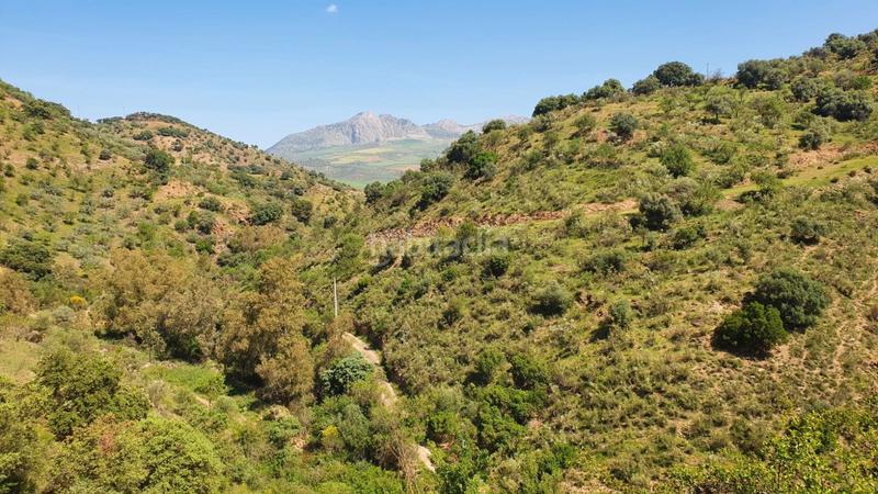 Foto 306e233c-c74f-4df1-bbb7-2c172ce6a063. Masía cortijo rústico con potencial en alegría de la huerta- jardín de Málaga Málaga