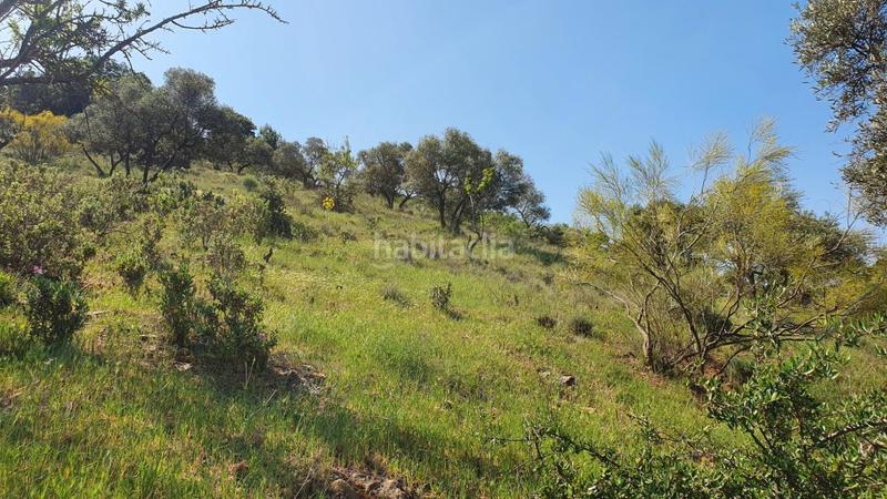 Foto 48ff02c5-d3ab-4a00-9301-840f7435ac62. Masía cortijo rústico con potencial en alegría de la huerta- jardín de Málaga Málaga