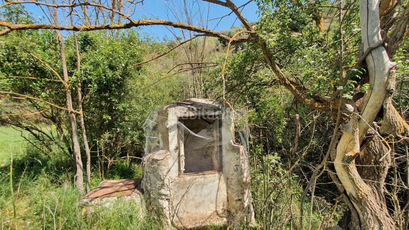 Foto 5de6813f-3f45-4a17-a936-497f657500ee. Masía cortijo rústico con potencial en alegría de la huerta- jardín de Málaga Málaga
