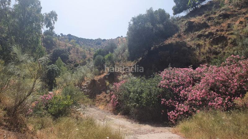 Foto 67159f35-75c5-4cb5-9b91-cc904490980a. Masía cortijo rústico con potencial en alegría de la huerta- jardín de Málaga Málaga