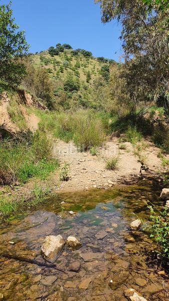 Foto 81c07d47-98e1-497c-b7e8-cac822178ed1. Masía cortijo rústico con potencial en alegría de la huerta- jardín de Málaga Málaga