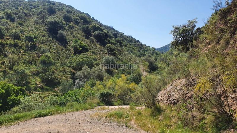 Foto a5d48cef-7af1-466d-ac5d-f7c9be96e998. Masía cortijo rústico con potencial en alegría de la huerta- jardín de Málaga Málaga