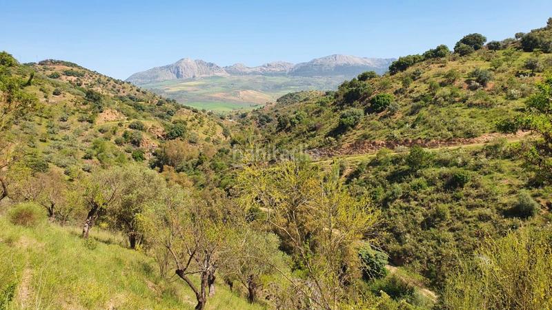Foto ade6b9da-d00f-426e-8a9b-8b72ccb55e13. Masía cortijo rústico con potencial en alegría de la huerta- jardín de Málaga Málaga