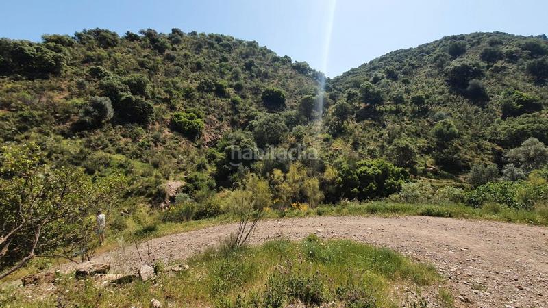 Foto c1b53fd4-7acd-4858-bc4b-a9bc9c685bdc. Masía cortijo rústico con potencial en alegría de la huerta- jardín de Málaga Málaga