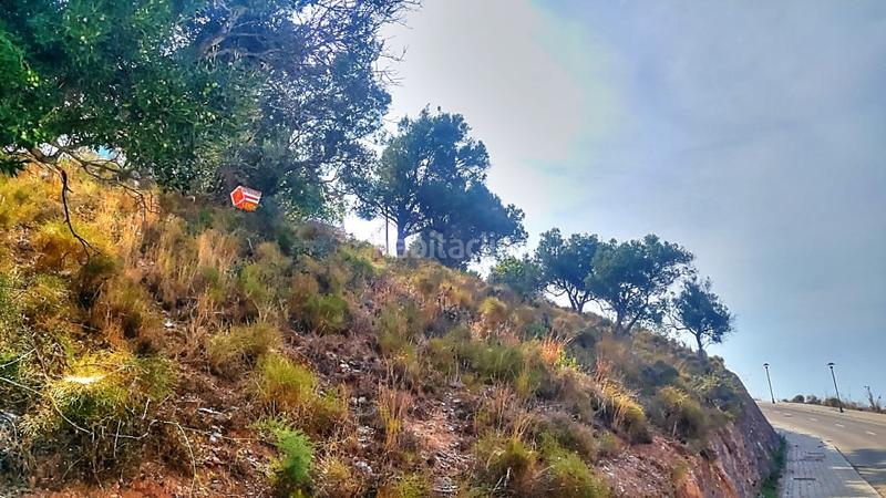Foto 3d8e4fe9-a1e9-4349-859d-dba7c744a628. Finca rústica parcela con vistas al mar en valleniza en Almayate Bajo