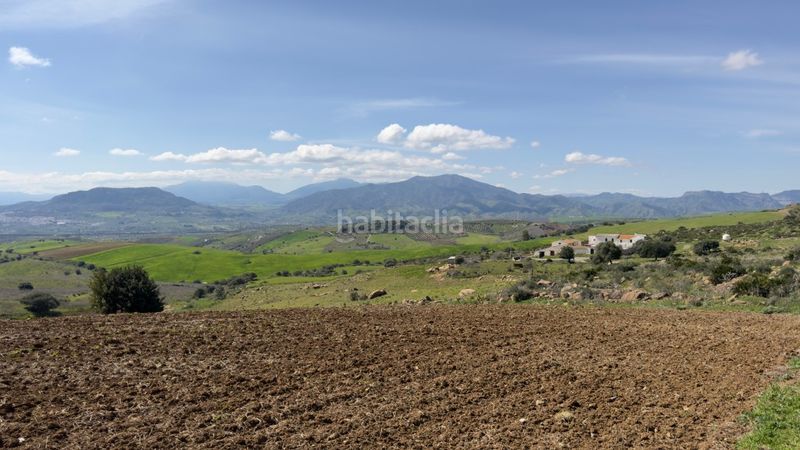 Foto 173b932e-fdce-4321-ac7d-fa7a0d38647a. Masia a Álora