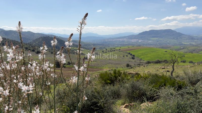 Foto bfeadf50-58e4-402c-b0f8-d7eb02271492. Masia a Álora