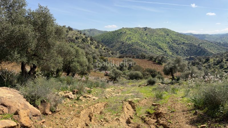 Foto c660a344-ece6-4a20-bb28-b304b4a0bf6c. Masia a Álora