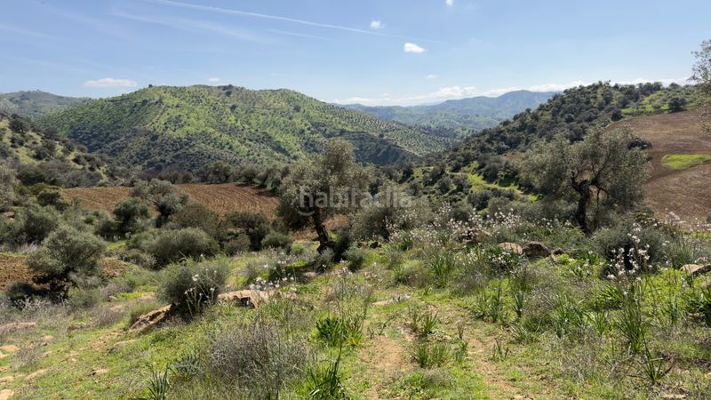 Foto fd0f1252-5b94-46df-a51d-b2a30f71d0ff. Masia a Álora