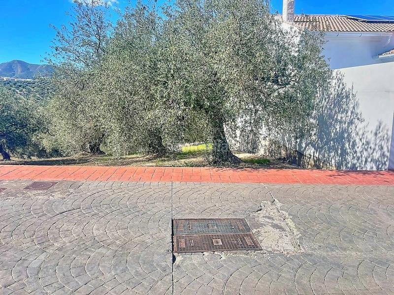 Foto 4a96c947-1243-439c-ab36-3974ce2ff42c. Finca rústica parcela urbanizable en la en Viñuela