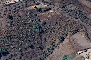 Fondo rustico in Alcaucín. Parcela rústica en viñuela