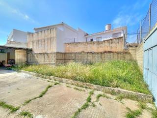 Finca rústica en Capuchinos - Los Olivos. Parcela urbana en velez málaga