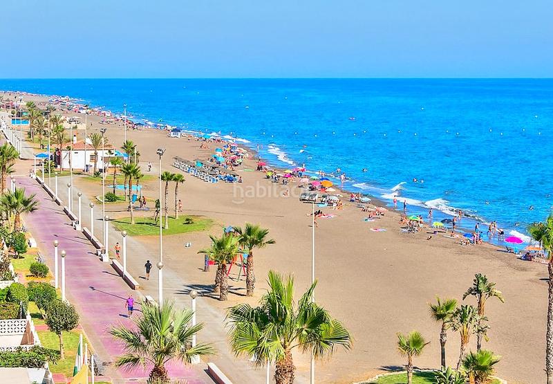 Foto cbd54c54-aa49-4cfa-b8d4-3bd4554e0149. Rural plot in Playa del Rincón Rincón de la Victoria