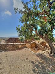 Rural plot in Benajarafe. Venta de terreno en benajarafe con vistas al mar