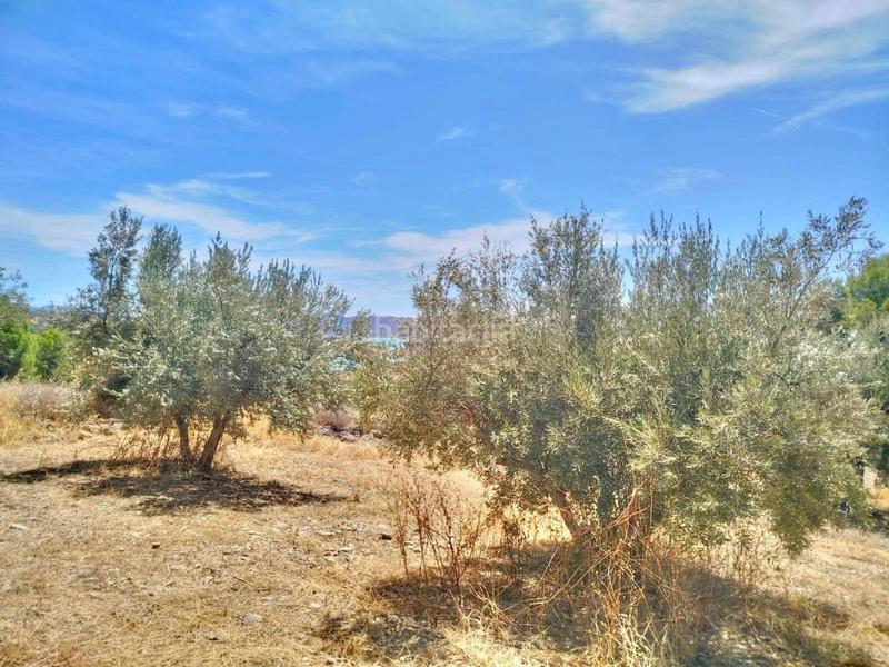 Foto 113ef257-c93d-4142-940e-145f27fcca12. Finca rústica terreno urbano en primera línea con vistas al pantano de la viñuela en Periana