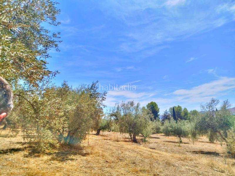 Foto a78ce98d-c667-413c-8bc1-5d3fbd16d738. Finca rústica terreno urbano en primera línea con vistas al pantano de la viñuela en Periana