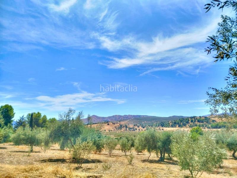 Foto b8e2c02d-5dc5-426e-a3d7-741893c6f9fb. Finca rústica terreno urbano en primera línea con vistas al pantano de la viñuela en Periana