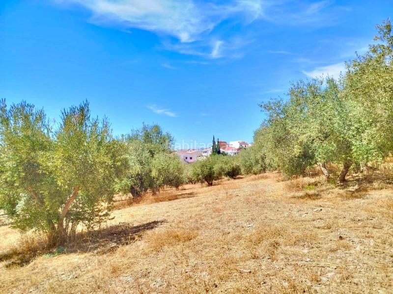 Foto f8cf747d-e602-4330-8caf-e1fc0f3a1d74. Finca rústica terreno urbano en primera línea con vistas al pantano de la viñuela en Periana