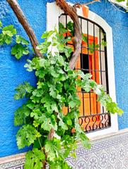 Mas à Árchez. Encantadora finca con aguacates, vistas panorámicas y gran poten