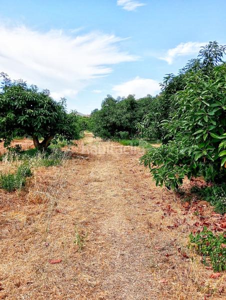 Foto 225c008b-6694-4ad1-b947-ac0b9fec6764. Casale con parcheggio piscina in Árchez