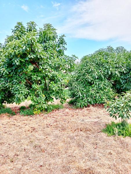 Foto 5df9c441-8dd7-482d-8806-f78603540508. Casale con parcheggio piscina in Árchez