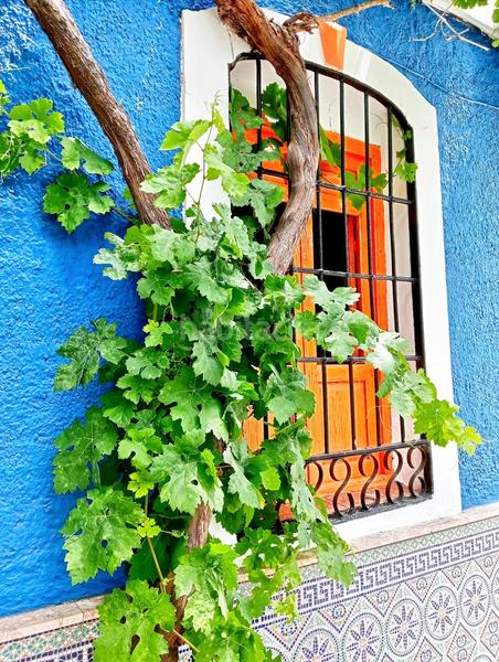 Foto 8ed61711-48f6-4fd2-83a7-66c99522066c. Casale con parcheggio piscina in Árchez