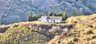 Masia a Borge (El). Encantadora casa de campo con piscina privada y estilo rústico a