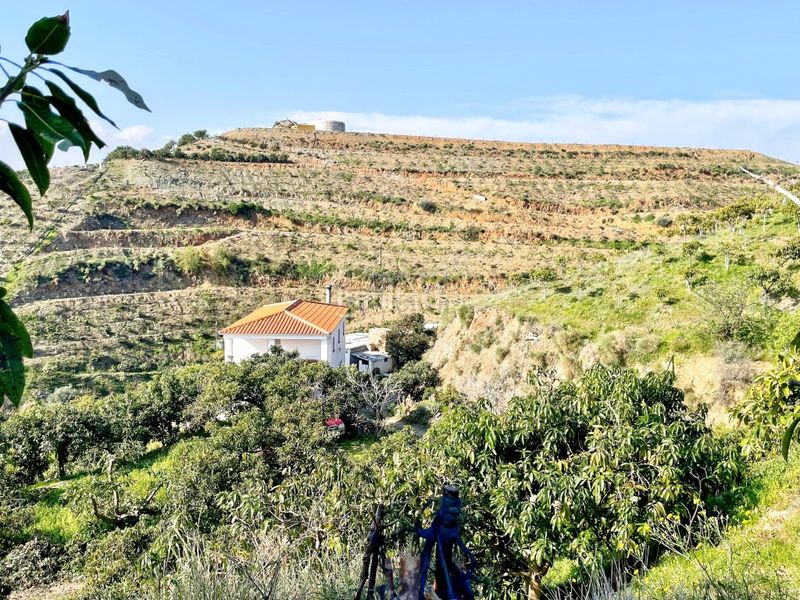 Foto 5a6fa945-9432-4d8f-845b-42638fd06941. Masia amb aparcament a Norte - Barrio del Pilar - El Reñidero Vélez - Málaga