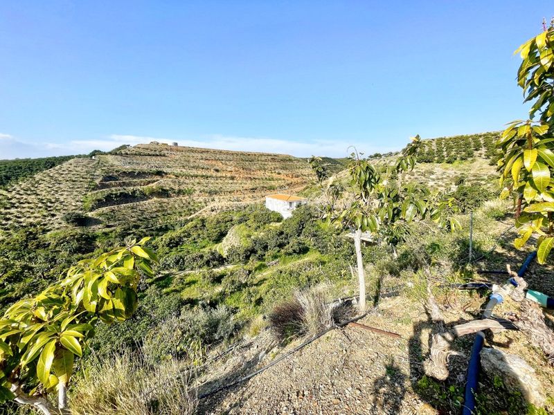 Foto 8ba53671-8d42-4b29-81e0-15d2b37b5e2d. Masia amb aparcament a Norte - Barrio del Pilar - El Reñidero Vélez - Málaga